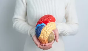 Left vs Right Brain Stroke