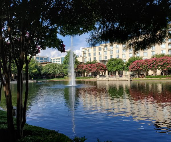 Crepe Myrtles and nice Architecture